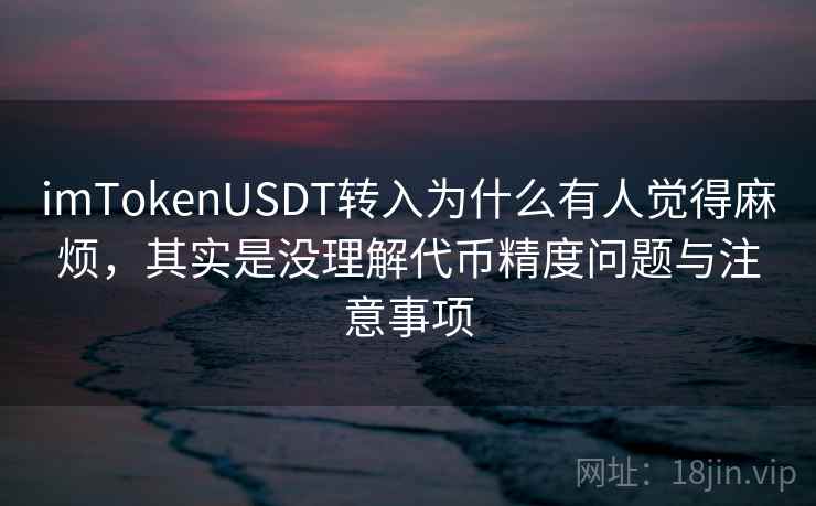 imTokenUSDT转入为什么有人觉得麻烦，其实是没理解代币精度问题与注意事项